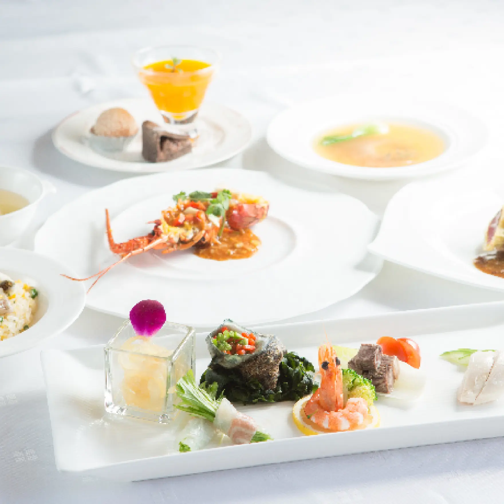 お食事会プラン