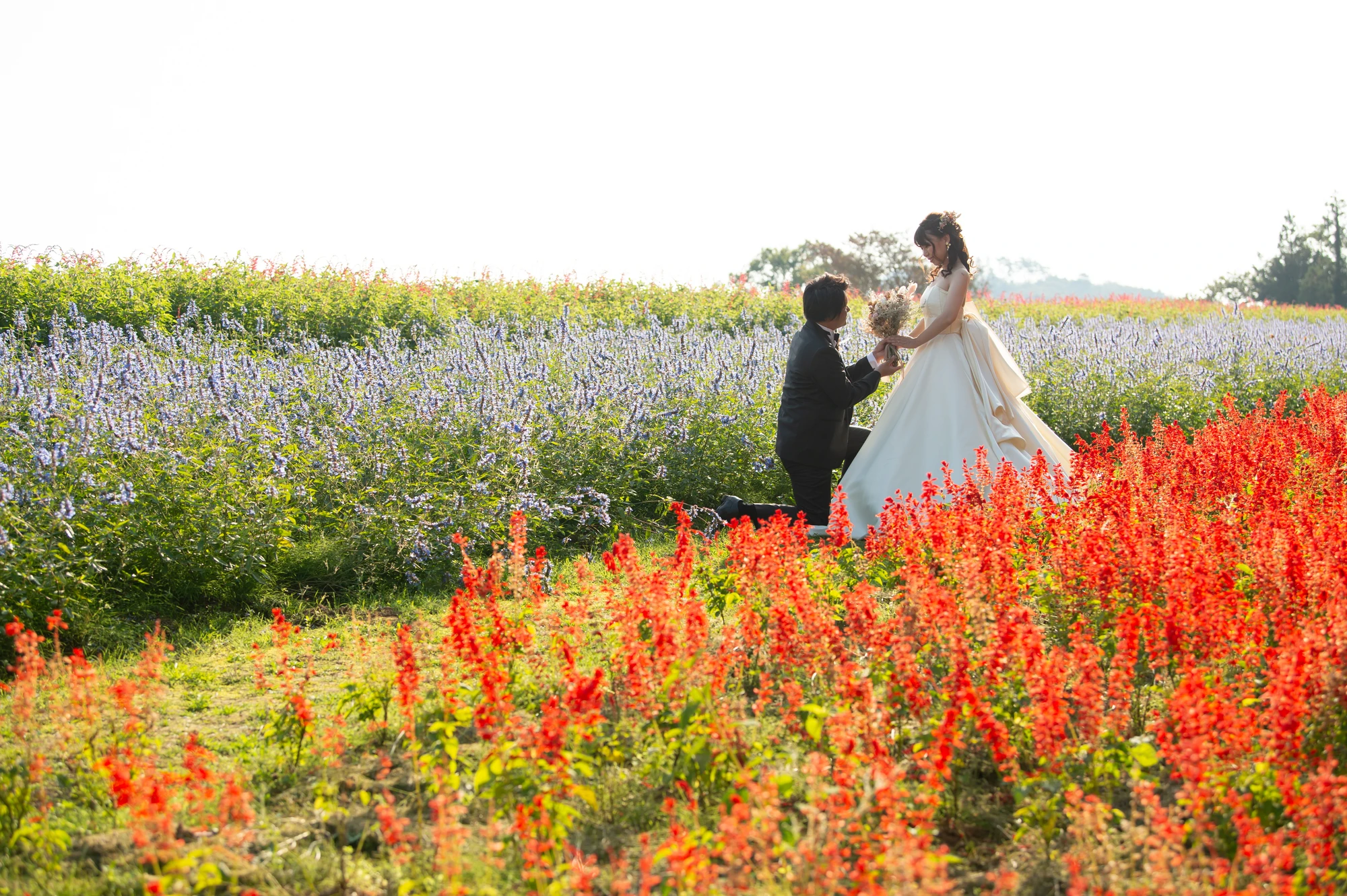 メナード青山リゾート